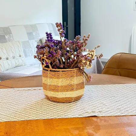 Apartamento Cozy - Jardin - Terrasse Ombragée